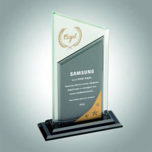 KRİSTAL PLAKET ESK 030