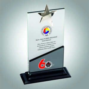 KRİSTAL PLAKET ESK 031